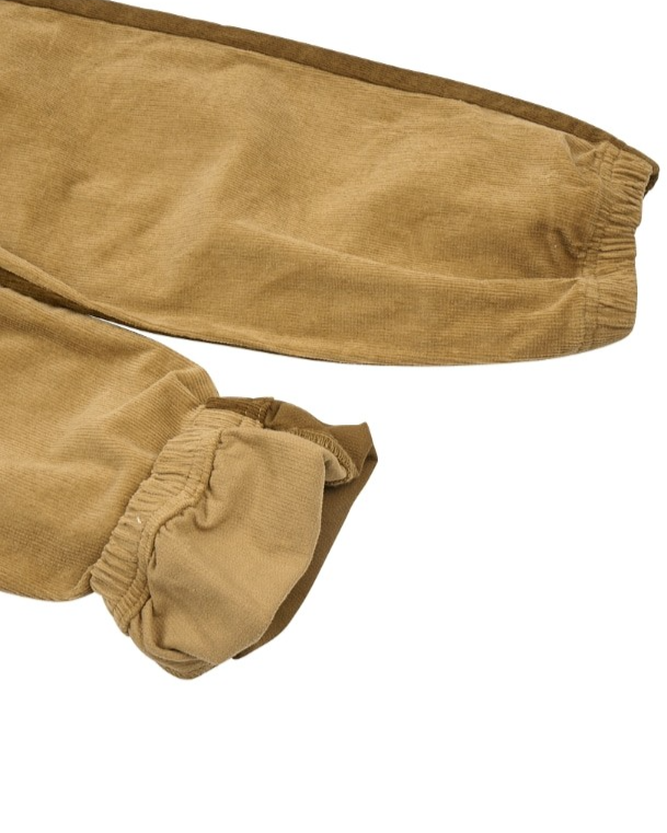 Brown Color Block Corduroy Jogger