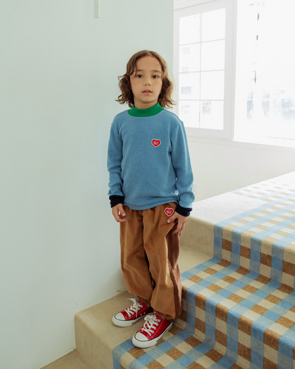 Light Blue Color Block Half Neck Knit