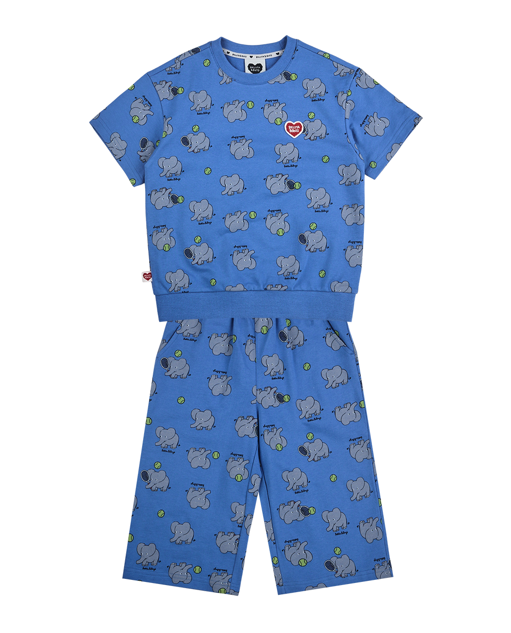 [SET] Blue Elephant Pattern Crop