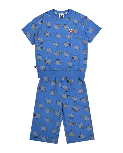 [SET] Blue Elephant Pattern Crop