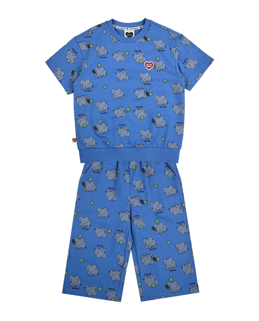 [SET] Blue Elephant Pattern Crop