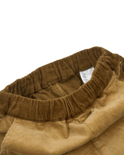 Brown Color Block Corduroy Jogger