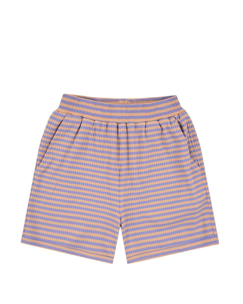 [SET] Violet BB Heart Stripe Sleeveless Shorts