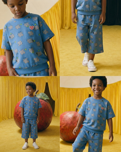 [SET] Blue Elephant Pattern Crop